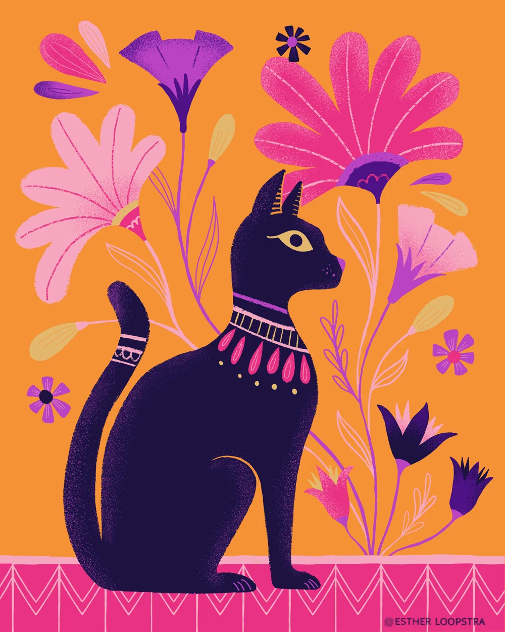 Cat.jpg