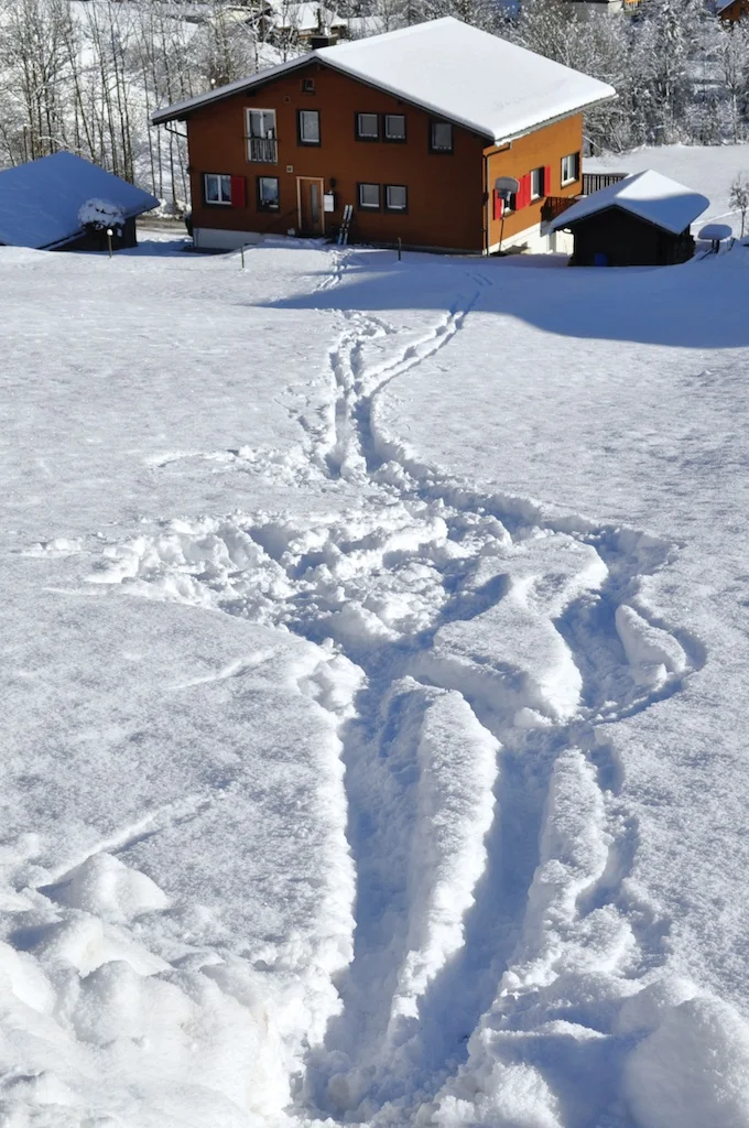 I wonder where he went??