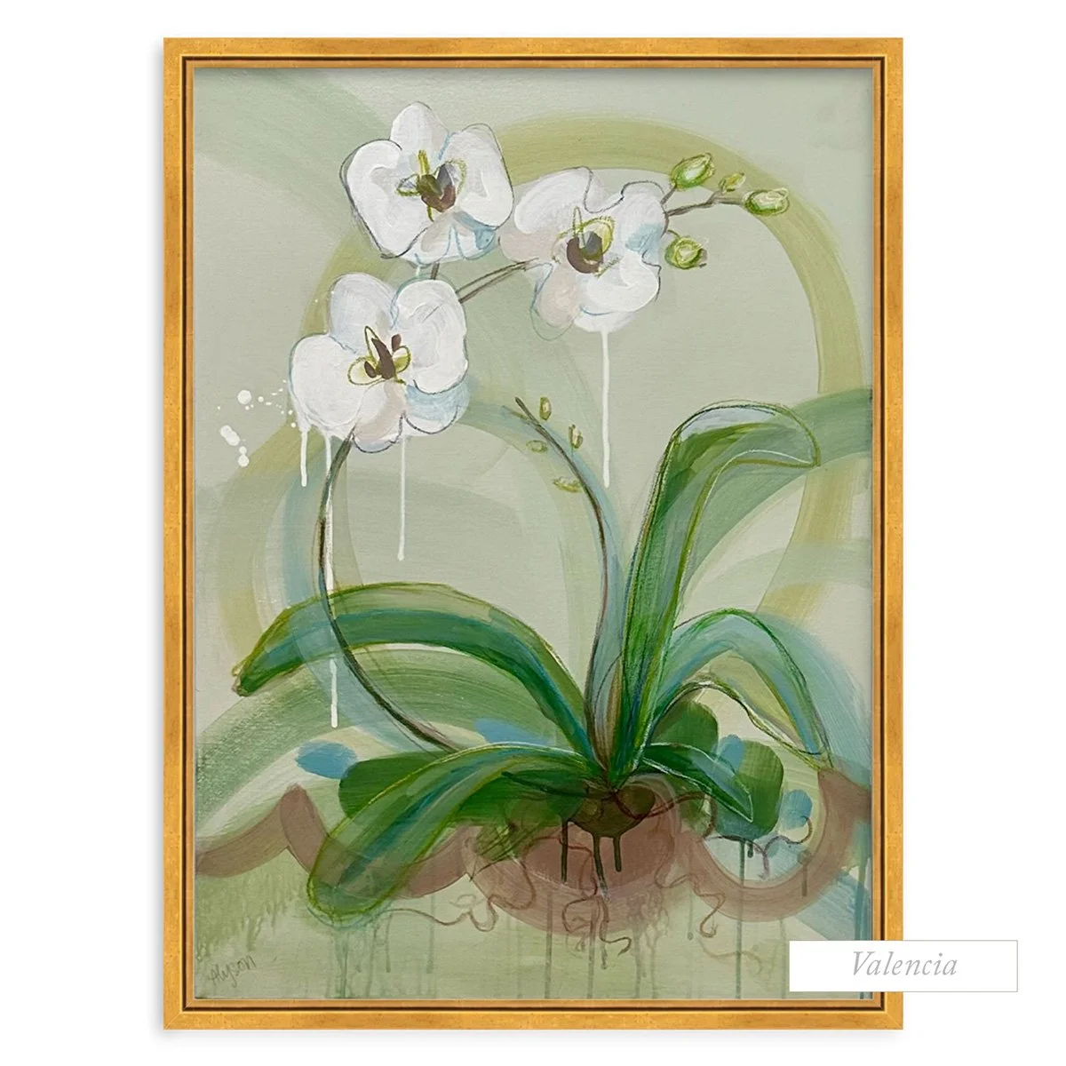 Orchid2ValenciaSqProduct.jpg