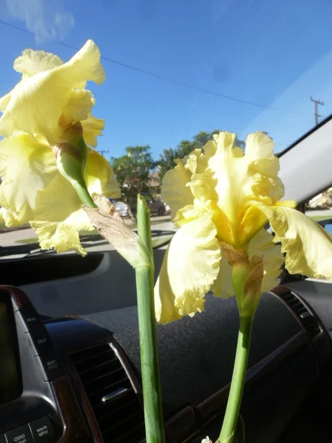 Random Acts of Kindness