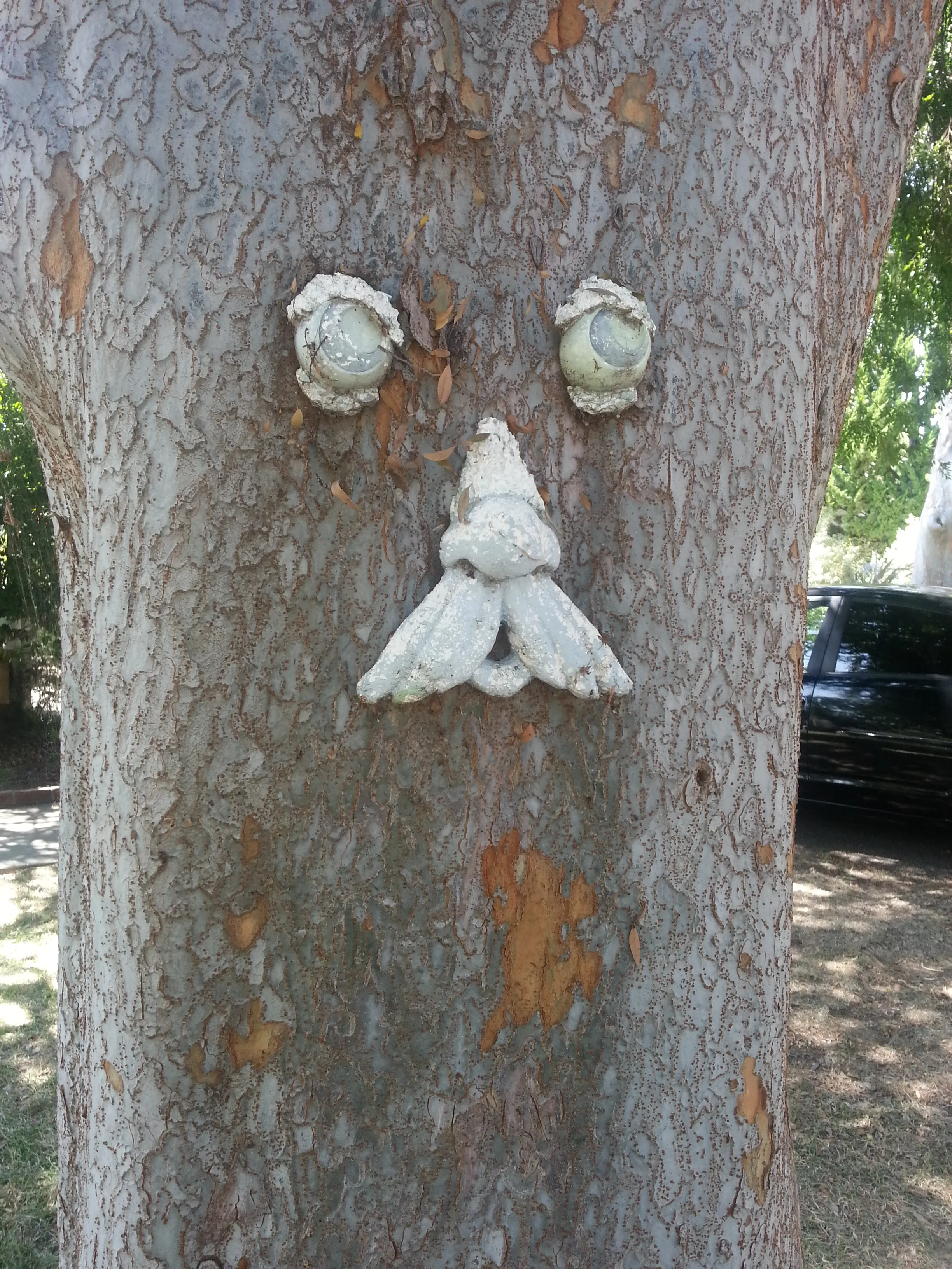 La Canada Flintridge