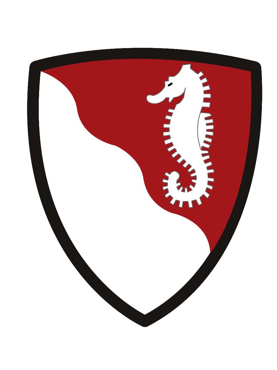 36th_Engineer_Brigade_Shoulder_Sleeve_Insignia.gif