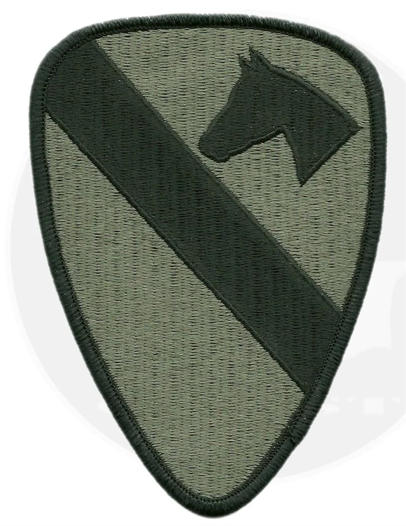 PatchVelcroUnitCav1.jpg