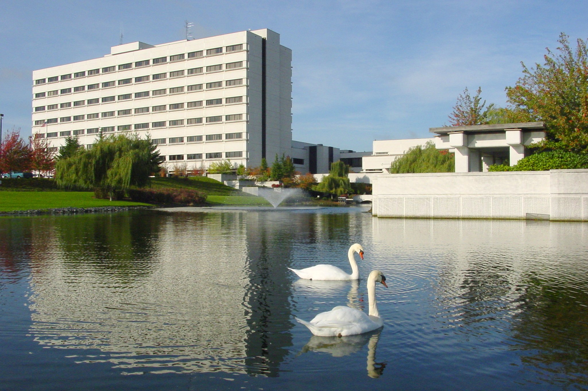 Mattie and Lewie.JPG