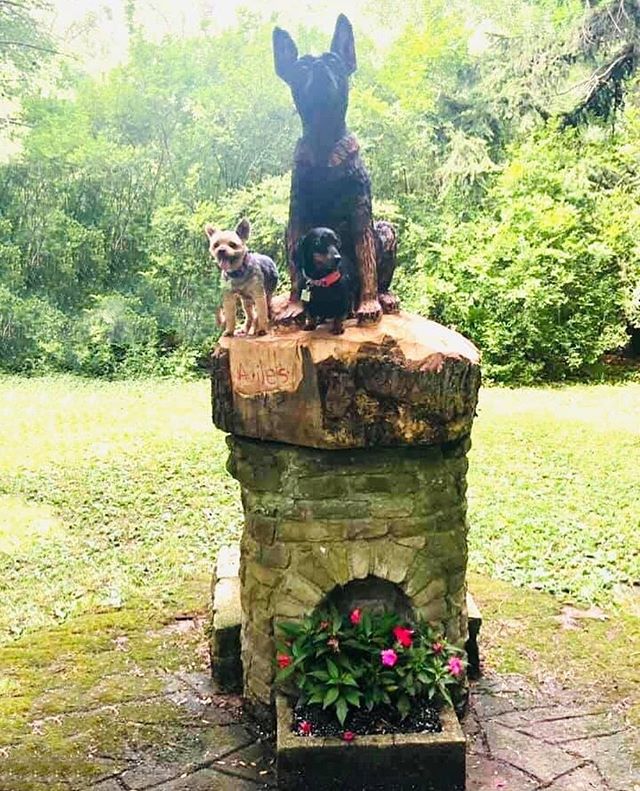 Grux and Gracie love the new statue.  #littledogsrule #dogsposingforphotos #ellicottislandbarkparkart #lovedogs🐶 #dogsofinstagram #dogsofbuffalo #ellicottislandbarkpark #friendsofellicott Photo Credit: Linda Coakley-Hanna