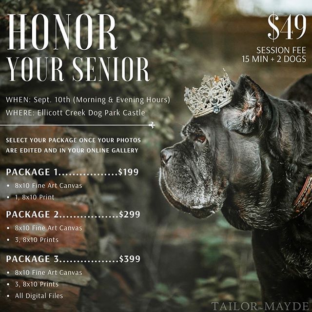 Please don&rsquo;t miss out to have some special photos taken of your senior dog.  For more info: https://tmpphotos.com please remember Emily has generously offered to donate a portion of the session fee to Friends of Ellicott and is also offering $2