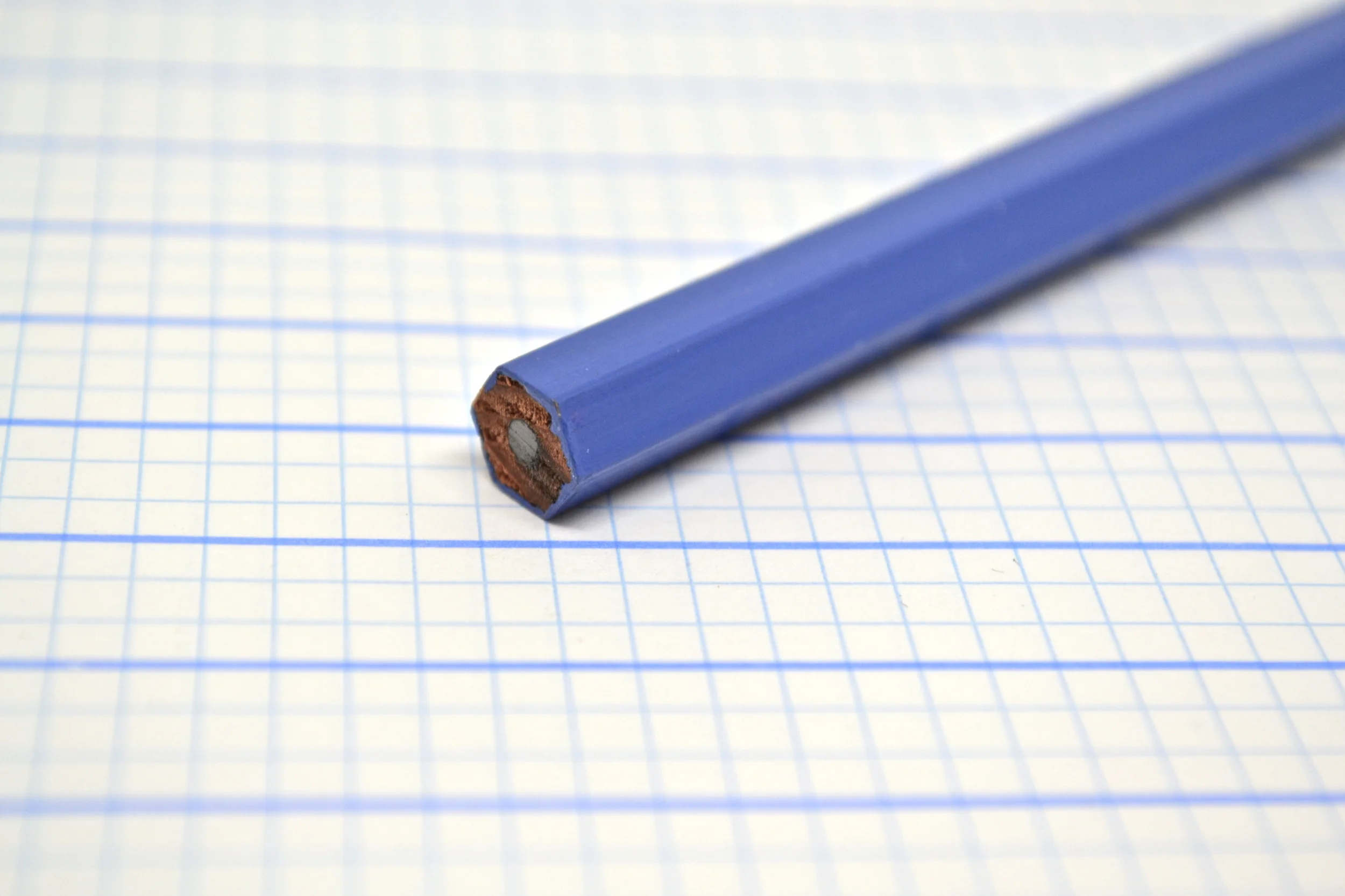 palomino golden bear pencil review