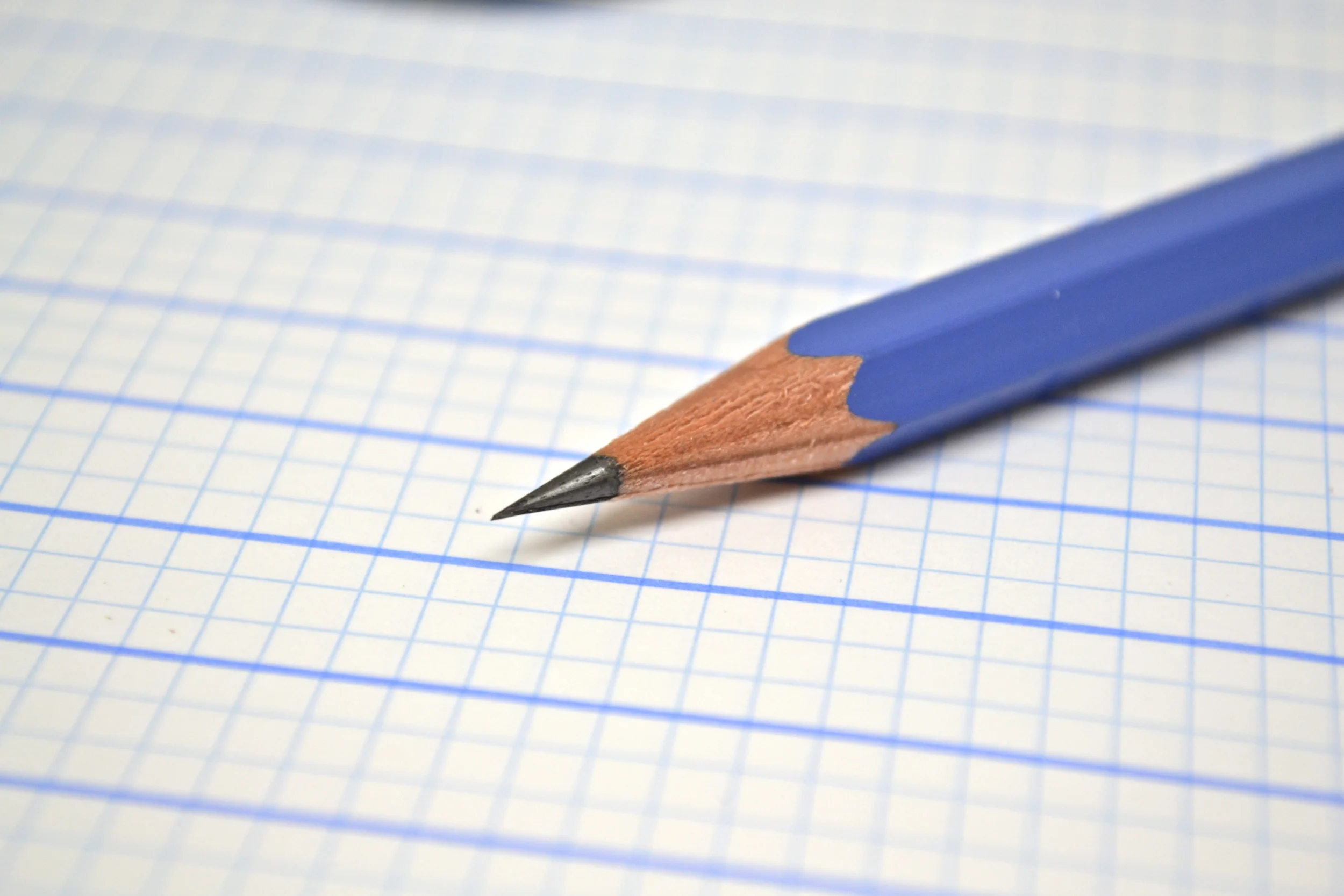 palomino golden bear pencil review