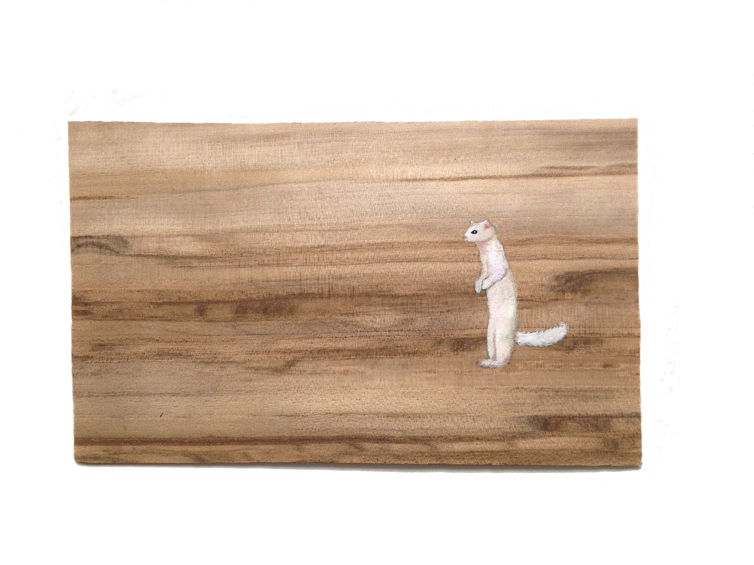Long-Tailed Weasel
