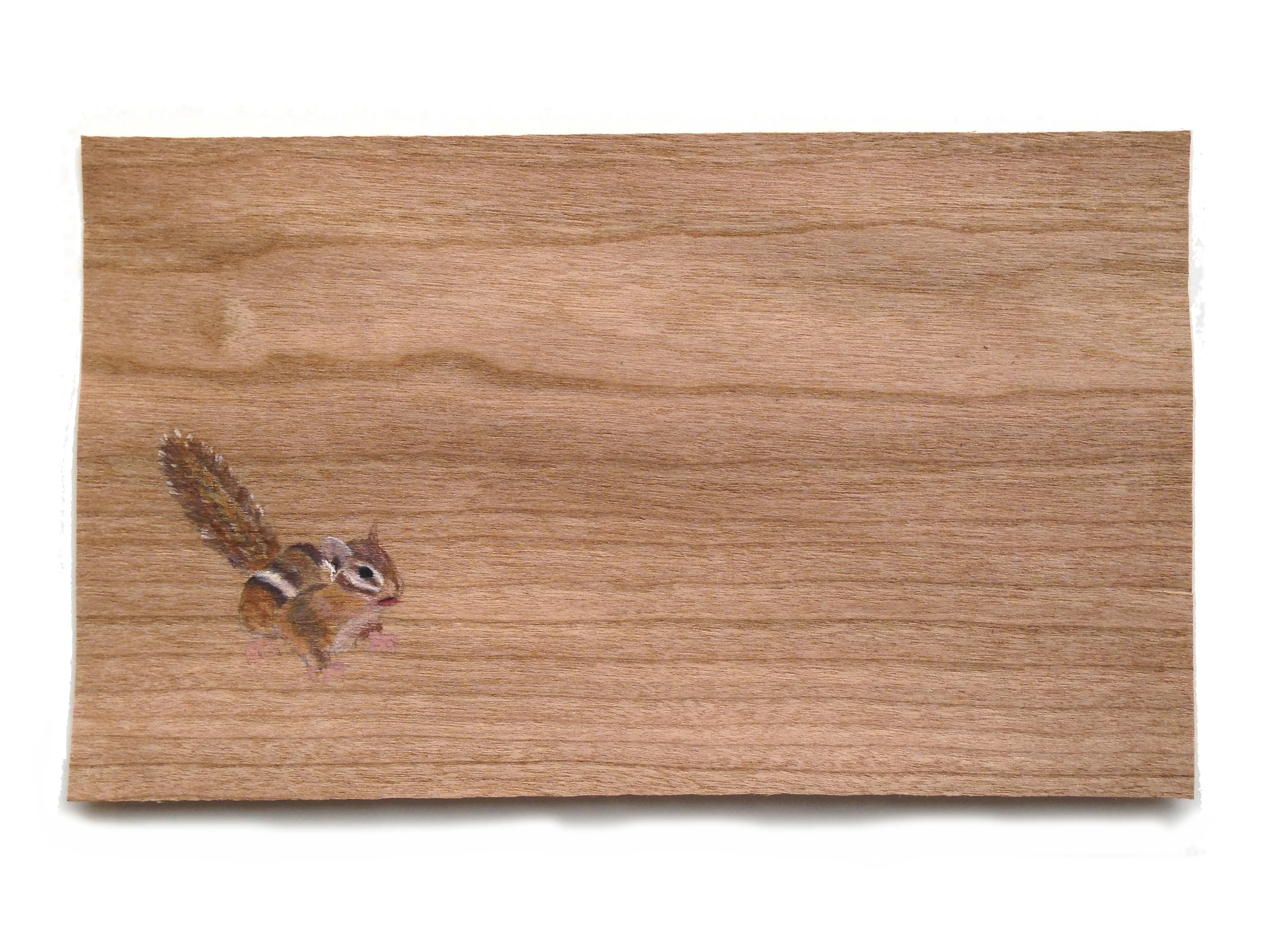 Eastern Chipmunk
