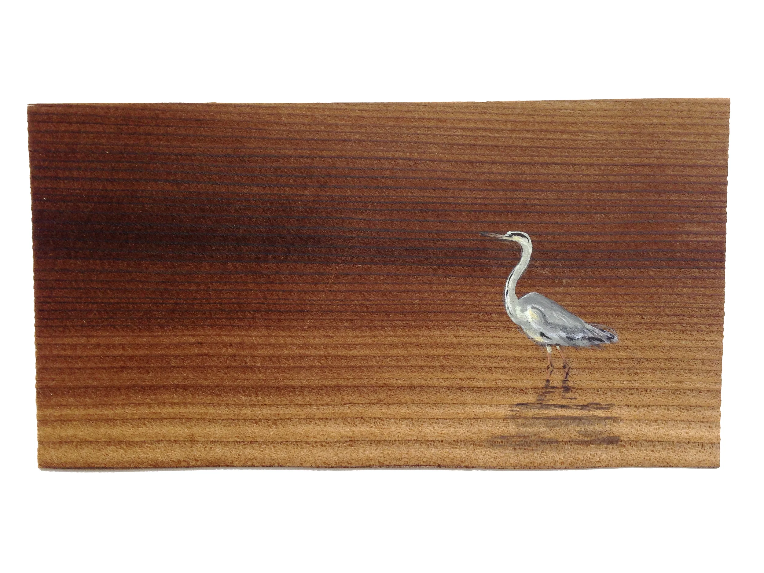 Gray Heron