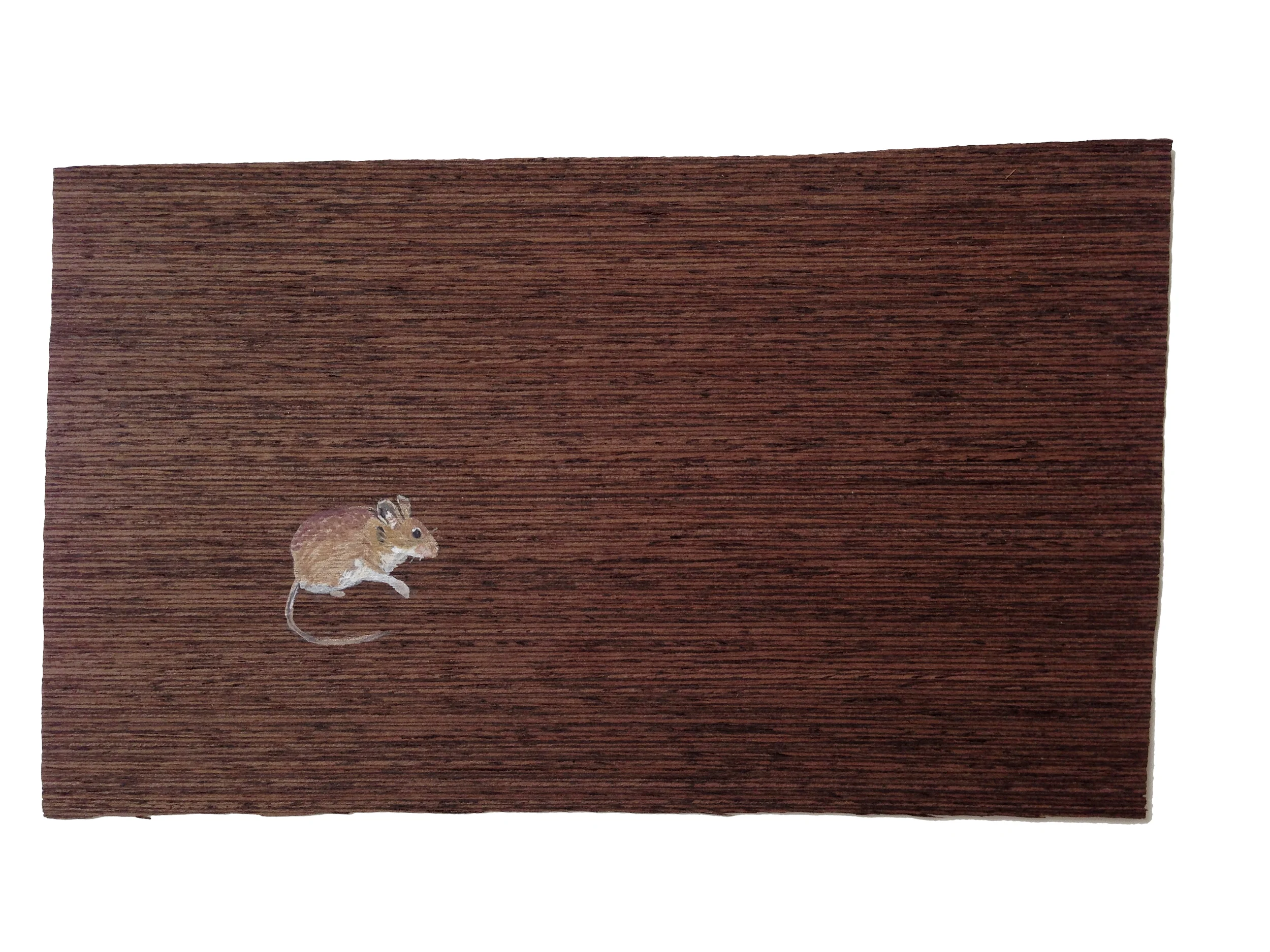 House Mouse