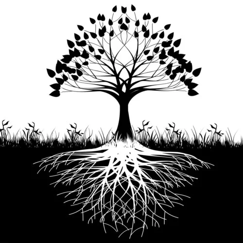 tree of life.jpg