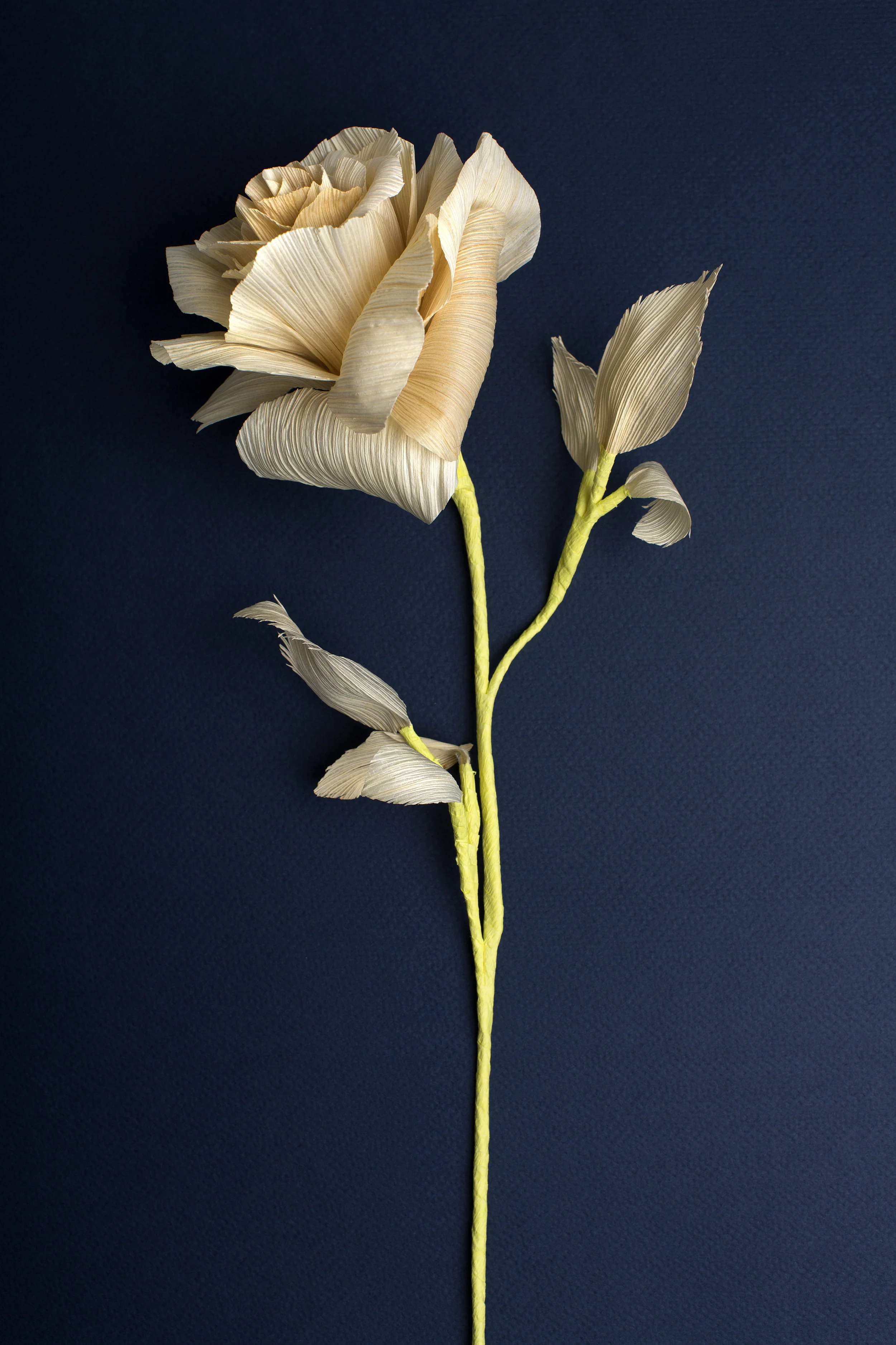 cornhuskflowers2.jpg