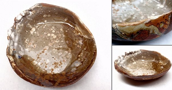  Abalone plate  2008, functional. 