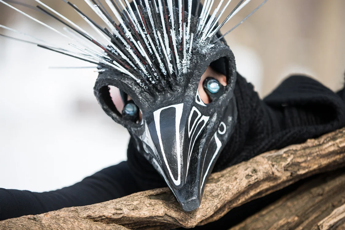 The Raven