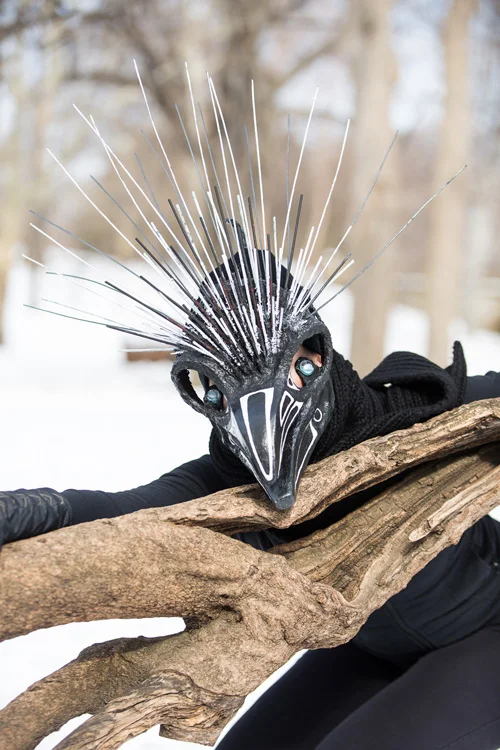 The Raven