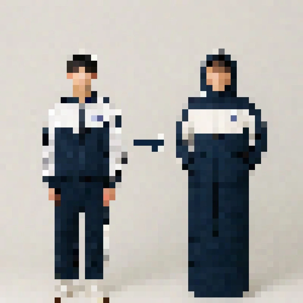 pixelated-image (22).jpeg