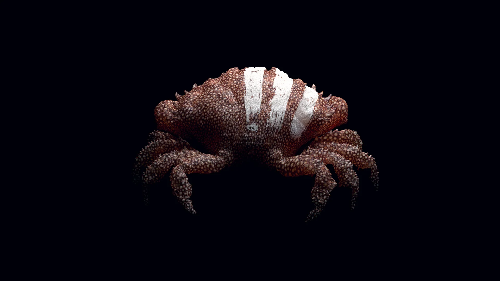 Mr Crabssssss.jpg