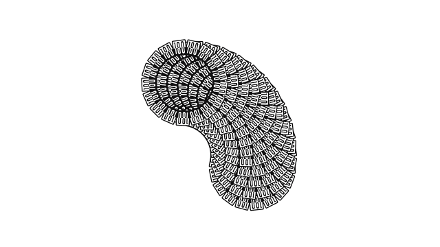 09.gif