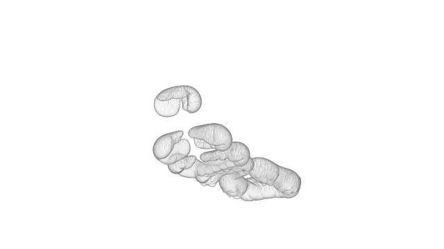 26.gif