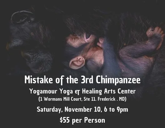 chimps2.jpg