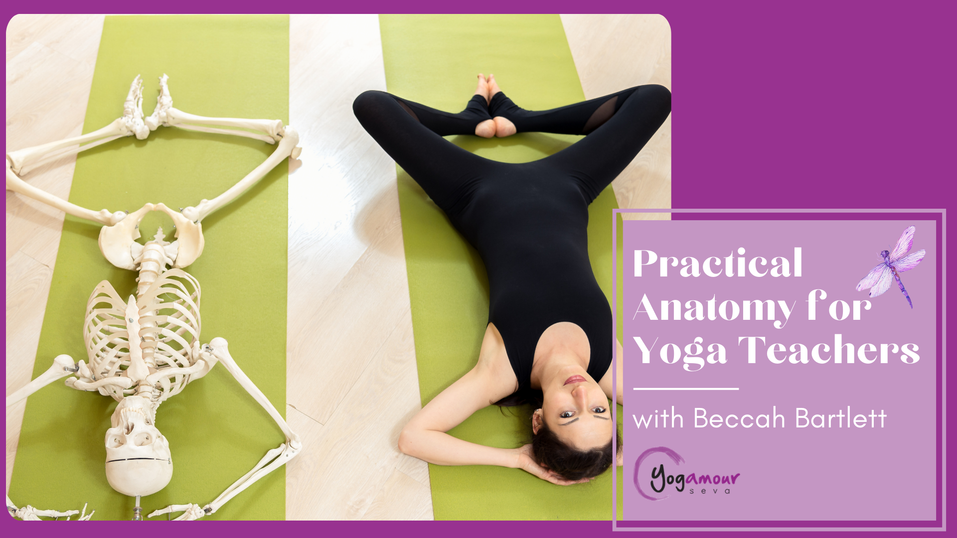 Practical Anatomy for Yoga Teachers with Beccah Bartlett