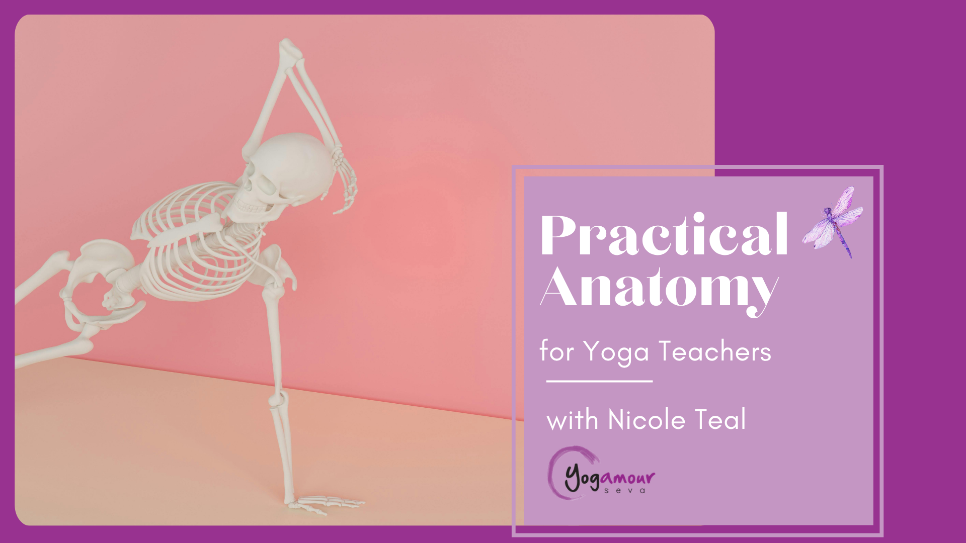 Practical Anatomy for Yoga Teachers with Nicole Teal