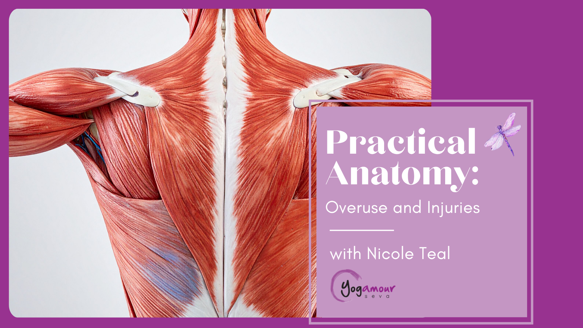 Practical Anatomy: Overuse and Injuries with Nicole Teal
