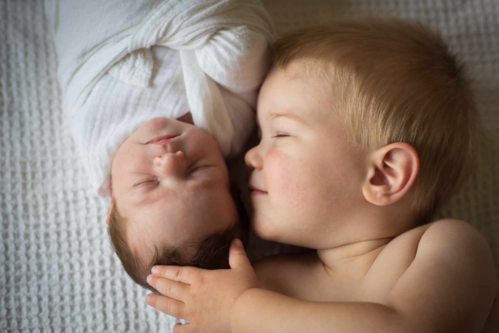  Newborn Photographer/ Waterloo Family Photographer 