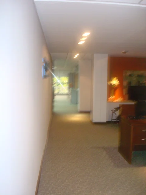 DSC08130.JPG