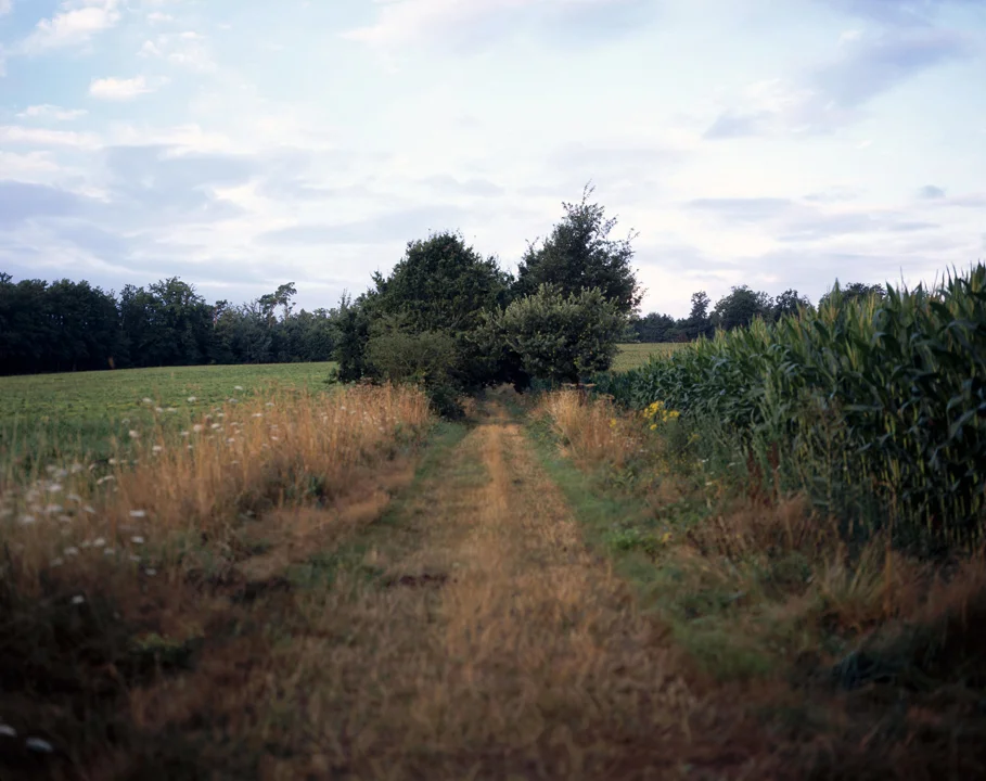 img030.jpg
