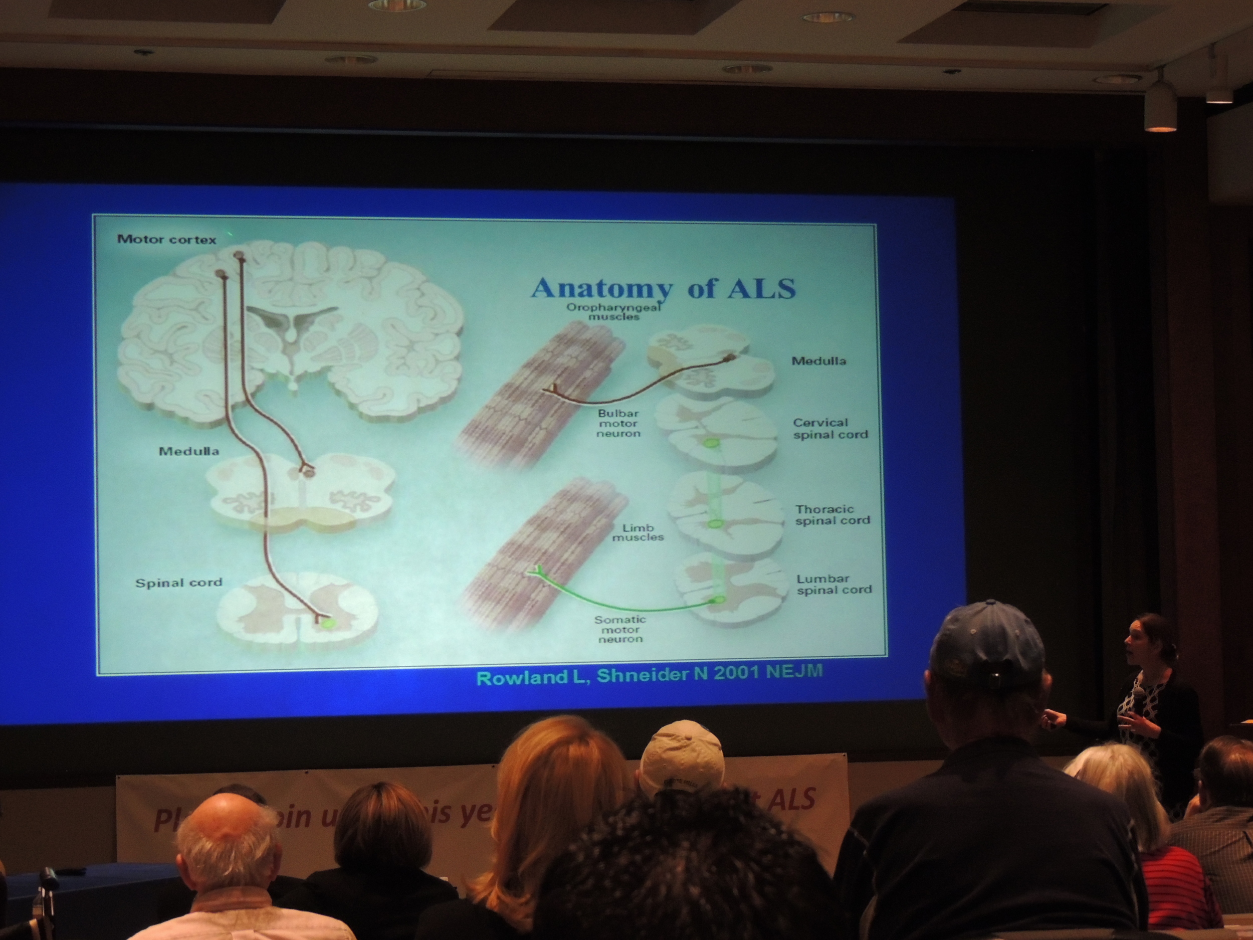 Lucie Bruijn, PhD – Chief Scientist, ALS Association