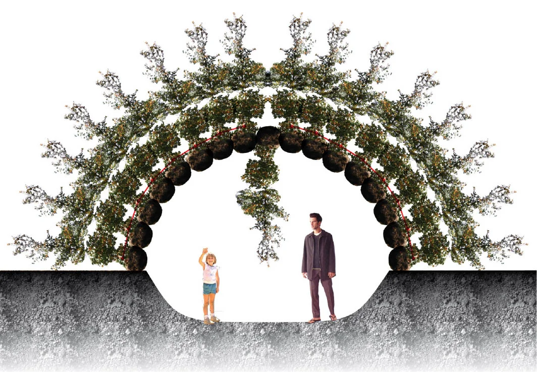 tree1.jpg
