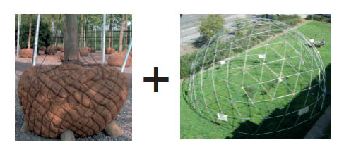 tree3.jpg