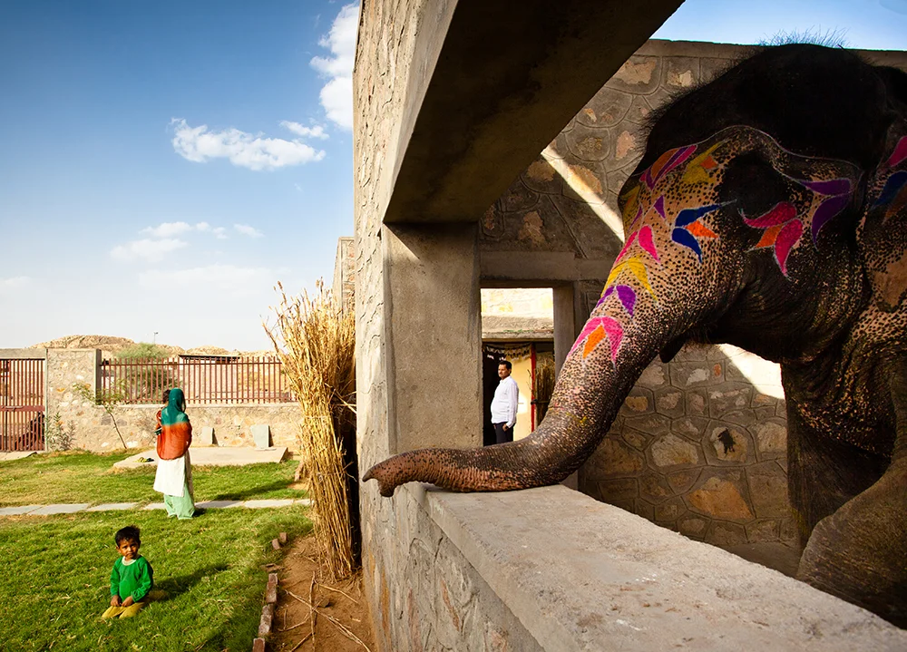 Hathigaon-project-image-08 (1).jpg