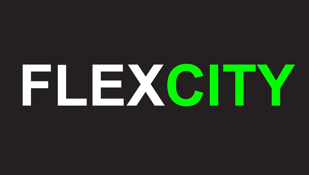 FLEXCITY-FINAL_Page_02.jpg