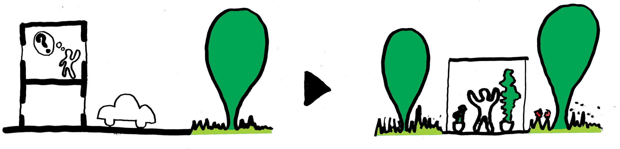 nature2.jpg
