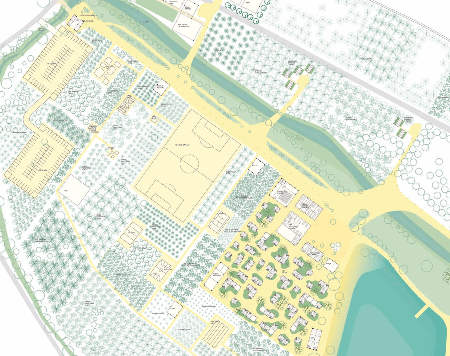   Collaborator: &nbsp;Deniz Okten 