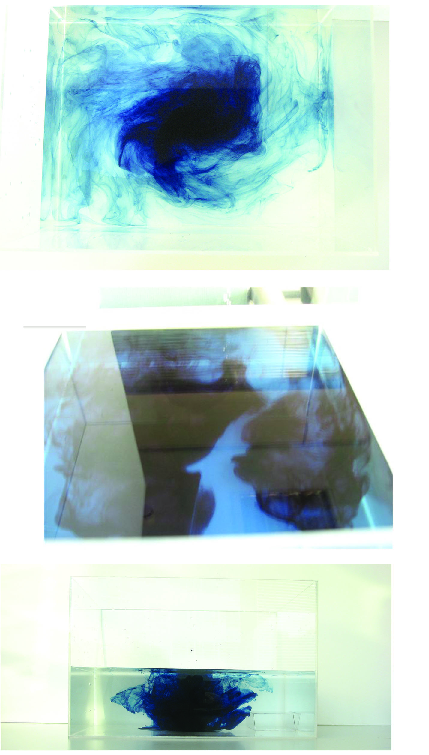   Collaborator:&nbsp; with Deniz Ökten and Zeynep Oguz    