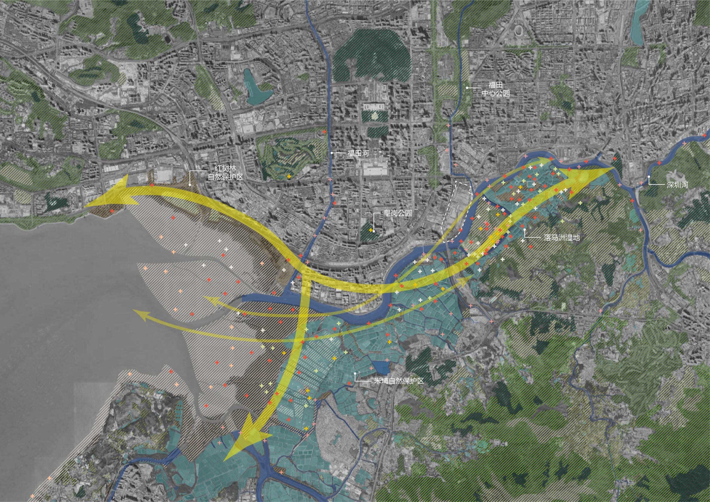 regional ecology_bird-01_S.jpg