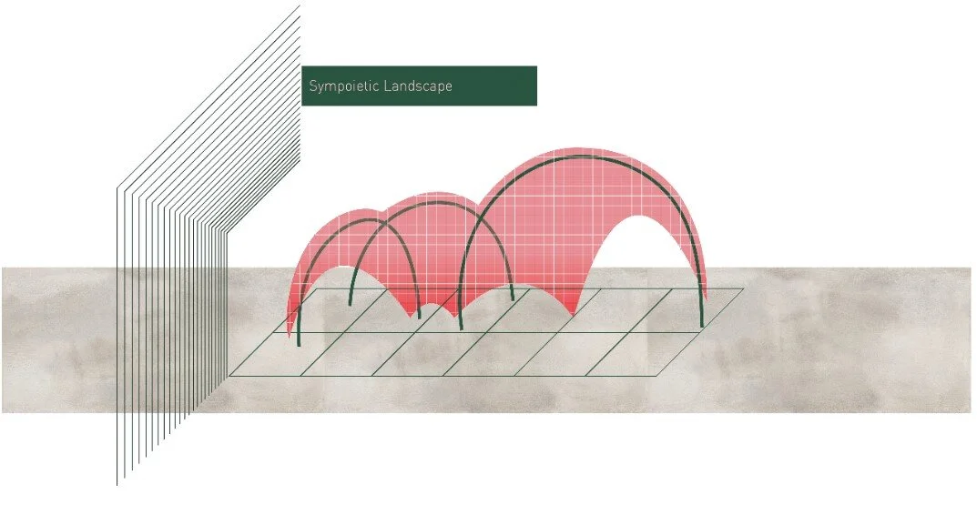 sympoetic land.jpg