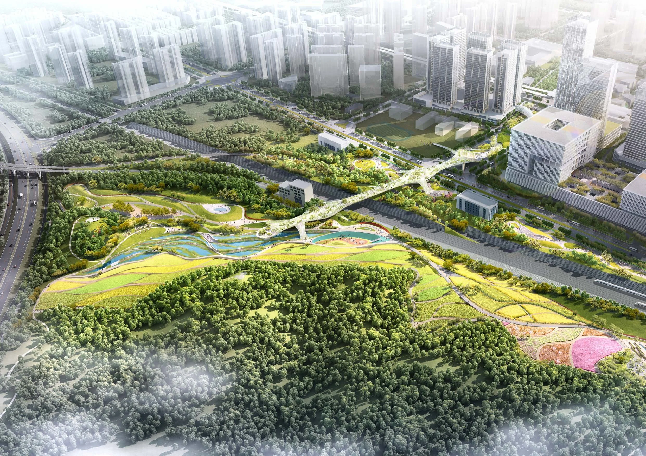 Shenzhen North Eco Bridge