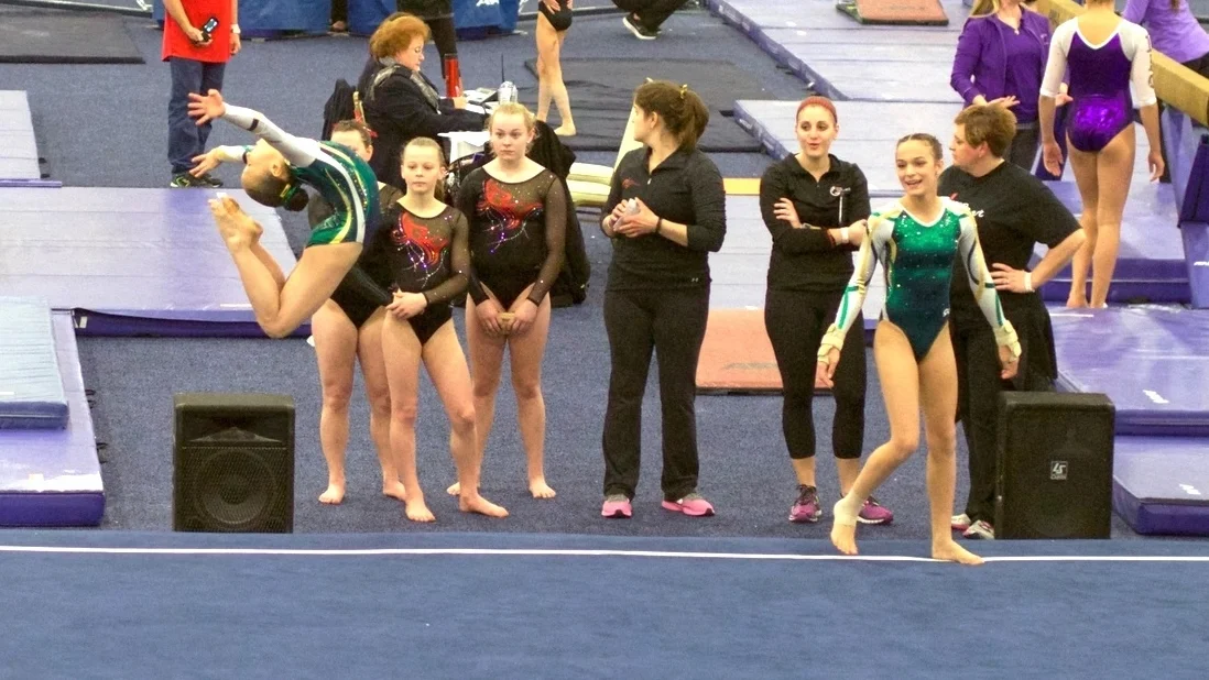 2015 Gymnastics Legends