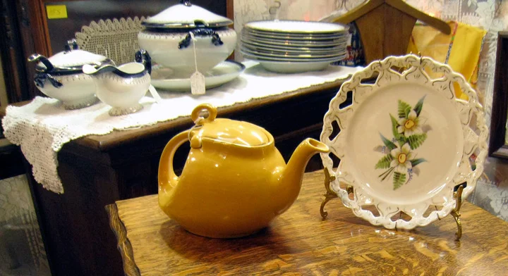 Yellow-Pitcher.jpg