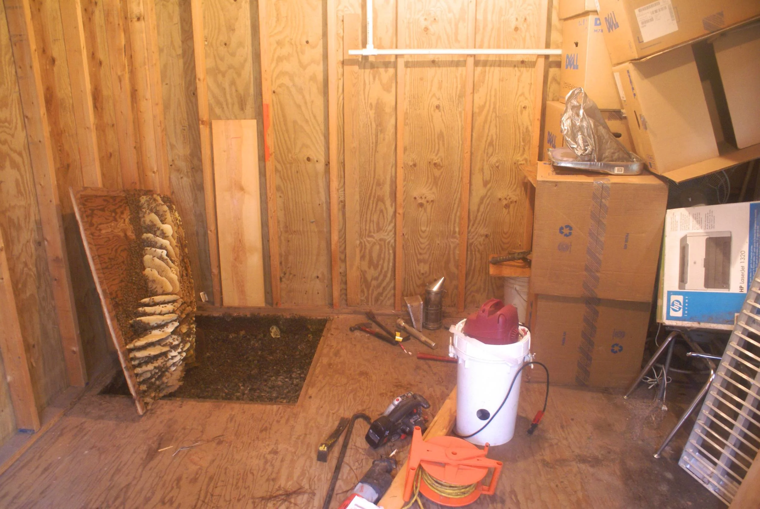DSC05782.jpg