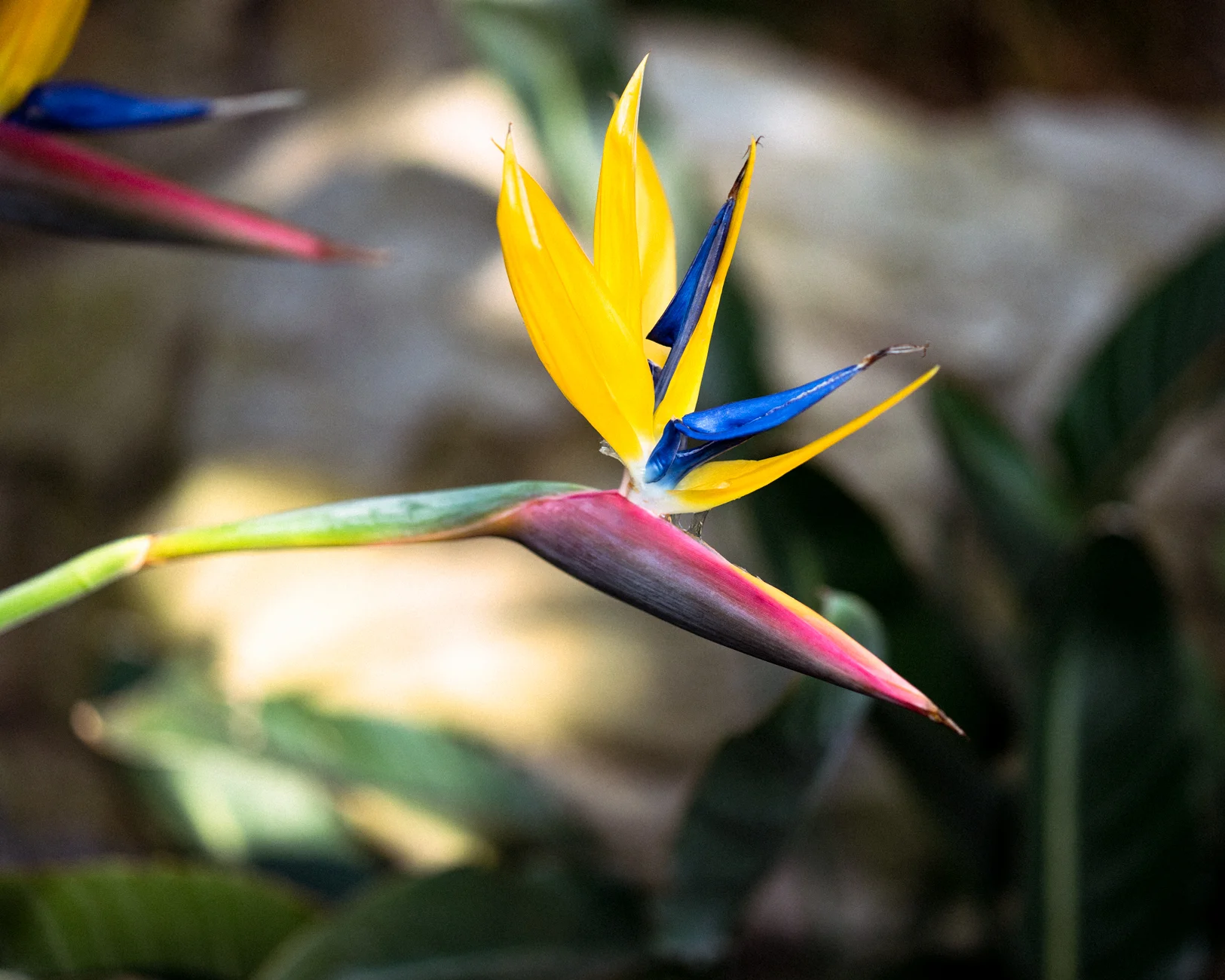 Remembering My Passions