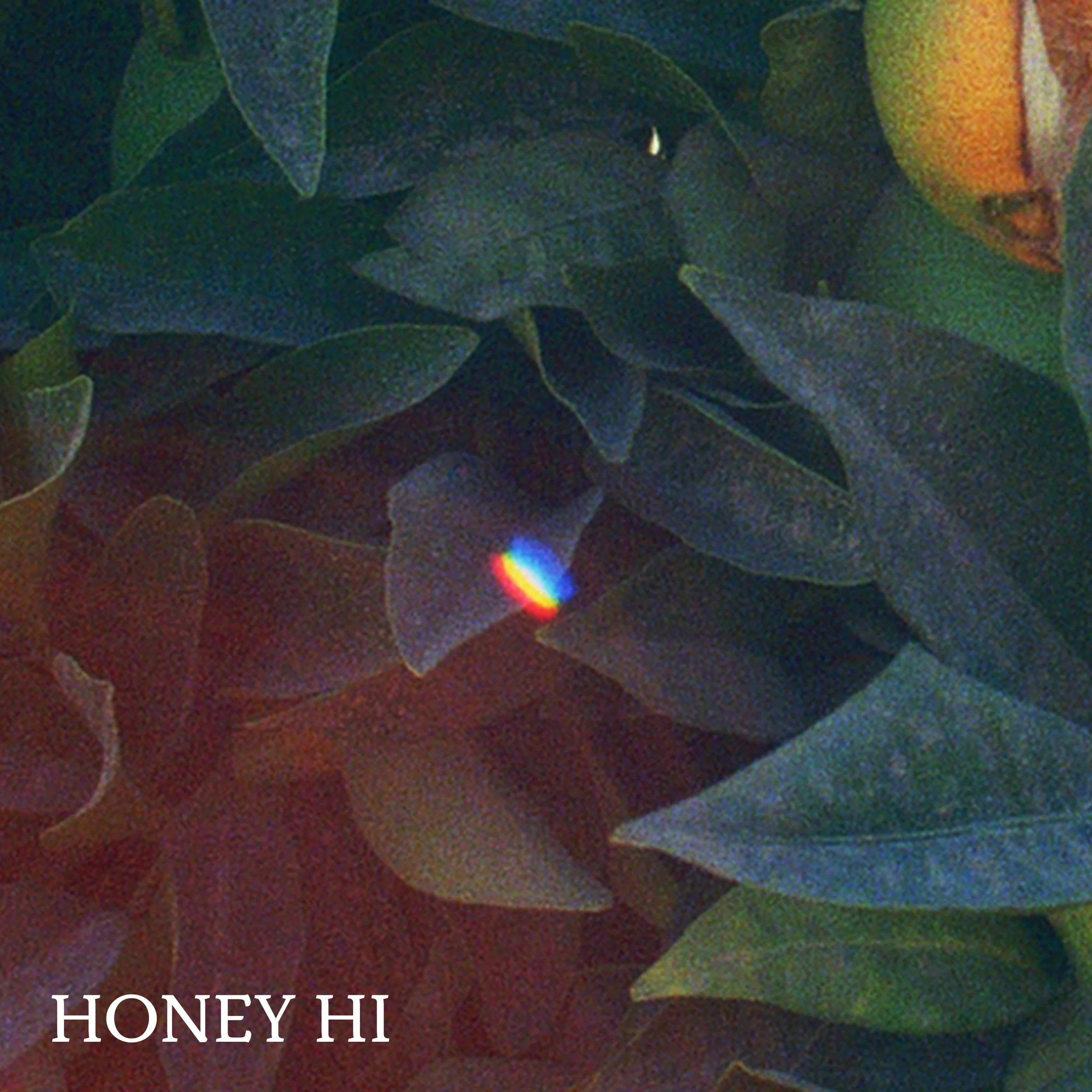honeycover.jpg