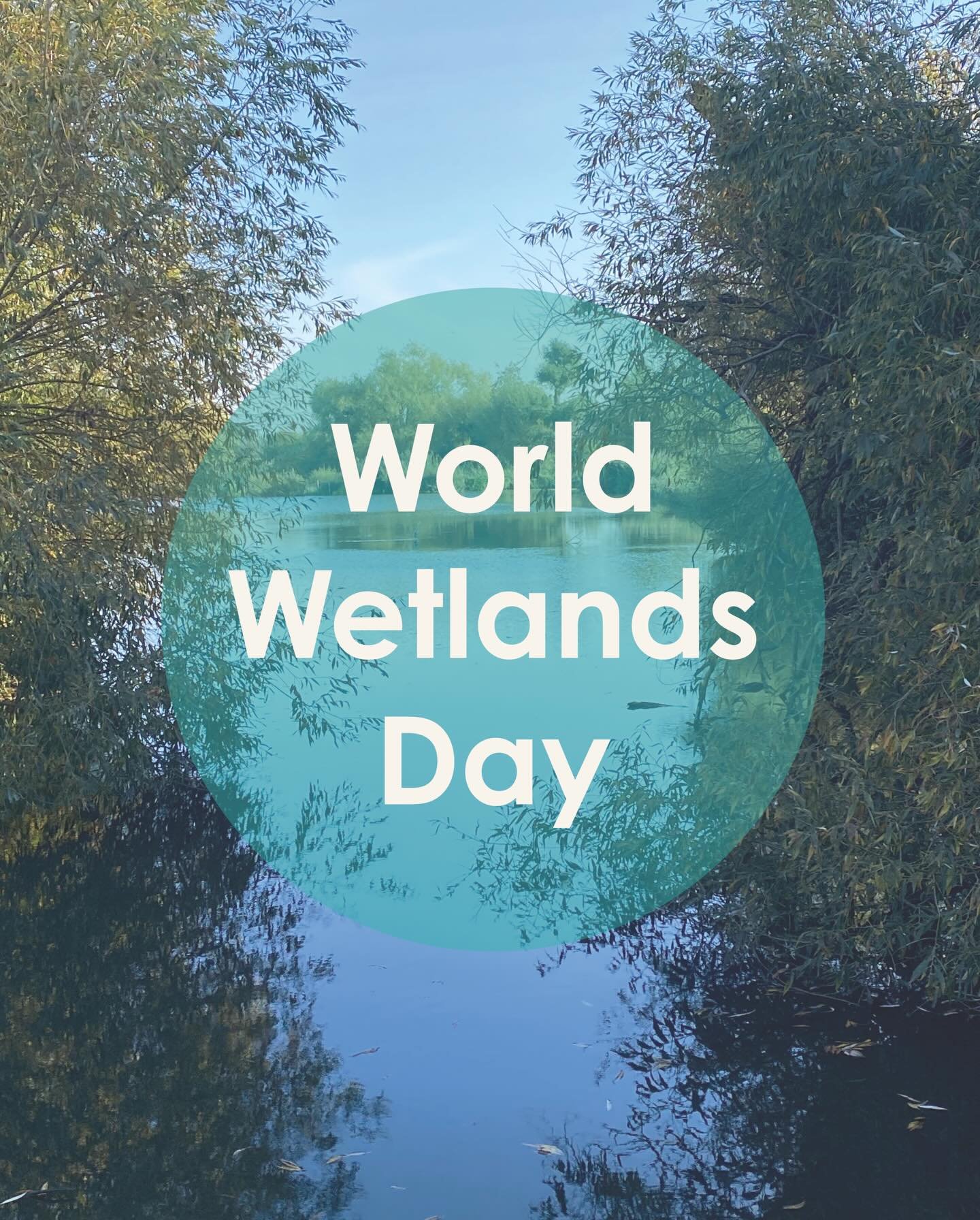 Sharing the story behind my Swift print for World Wetlands Day🐦

One day later than planned, but I wanted to share on this gloomy day, to both celebrate my local nature reserve, Walthamstow Wetlands and remind myself that spring won&rsquo;t be too f