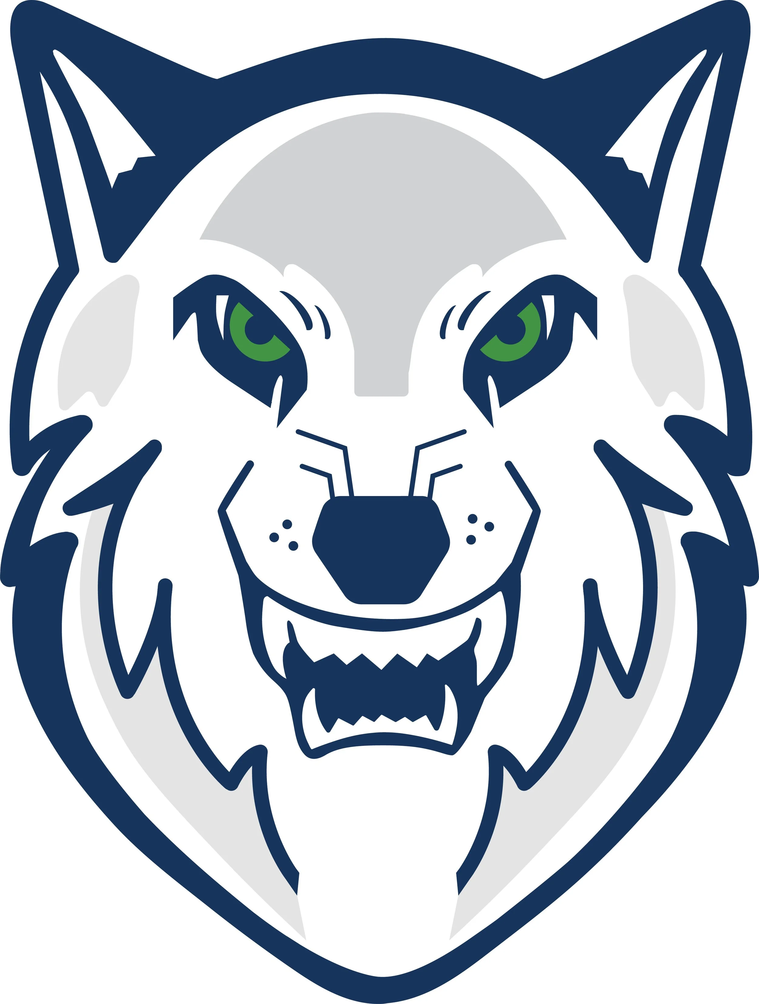 20254_KOCA Mascot-v12-FINAL-HEAD.jpg